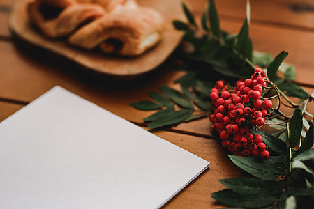 Red rowan fruit with a coffee and a white sheet of paper thumbnail