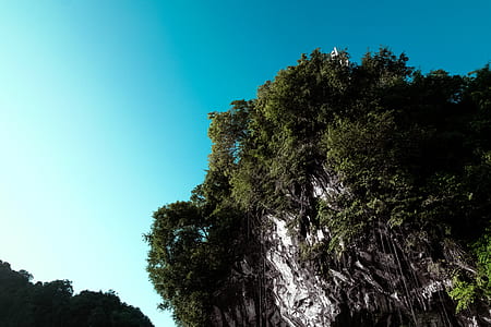 landscape, nature, trees, mountain thumbnail