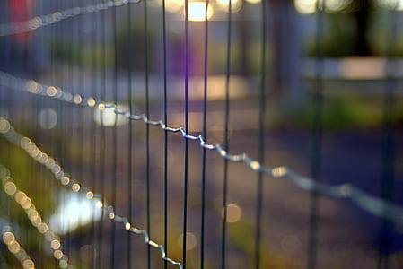 selective focus photo of net thumbnail