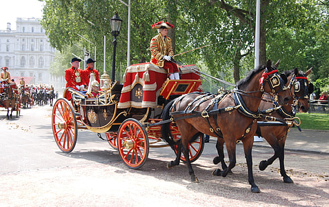 men riding on carriage dragged buy brown horses thumbnail