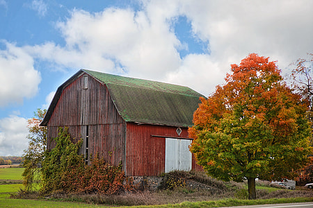 selective photography of a house near green tree thumbnail
