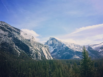 pine trees and mountain thumbnail