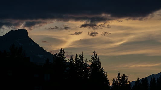 silhouette photography of trees under nimbus clouds and brown sky thumbnail