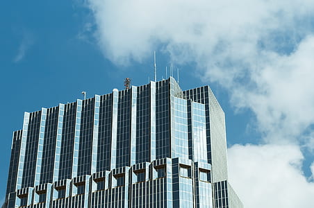 Blue and Gray Curtain Wall Building thumbnail