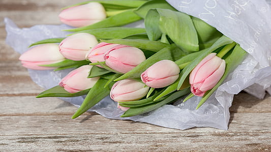 pink tulip flowers on top of brown table thumbnail