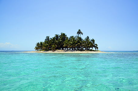photography of coconut island thumbnail