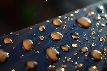 water, texture, close-up view, dew thumbnail