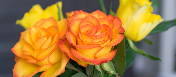 shallow photography of orange-and-yellow artificial flowers thumbnail