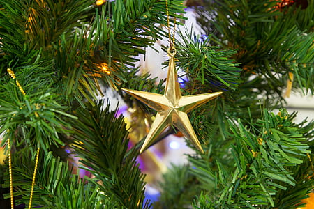 decoration, christmas, xmas, gold thumbnail