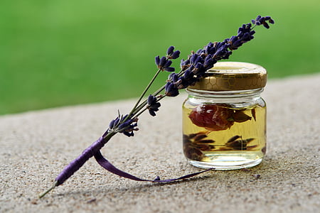 purple lavender flower and clear glass jar thumbnail