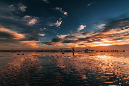 person walking on shore during golden hour thumbnail