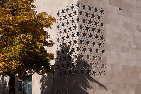 trees creating shadow to wall of building thumbnail