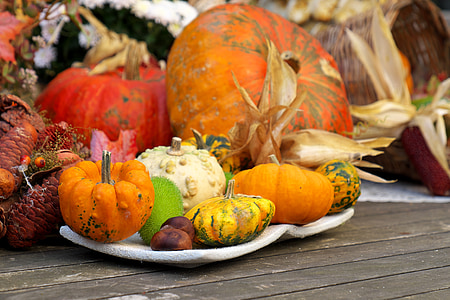 assorted vegetables on plate thumbnail