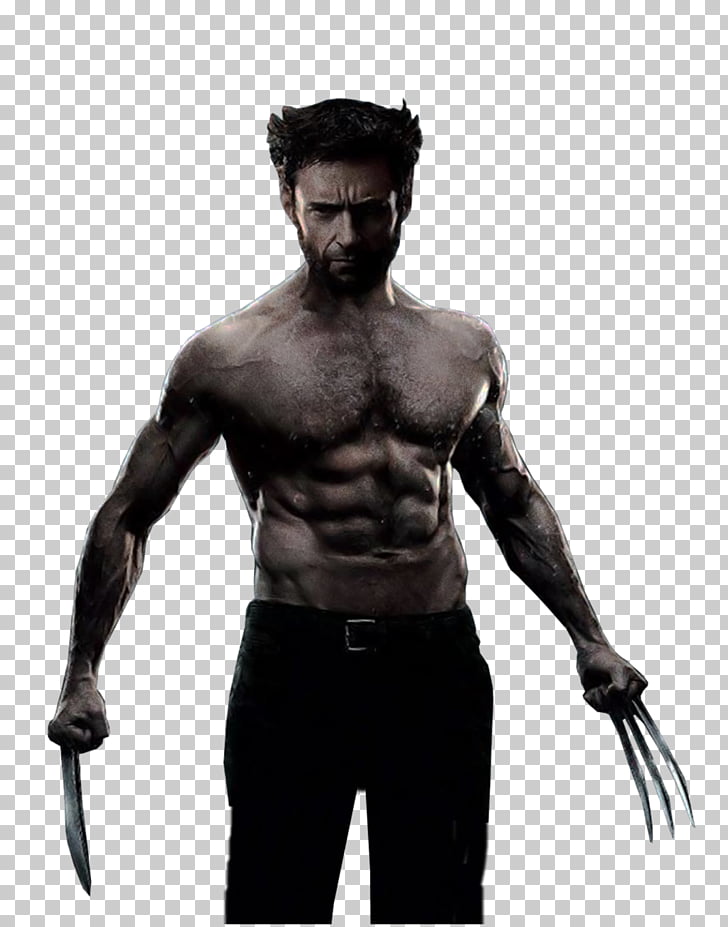 Wolverine Silver Fox Deadpool X Men Wolverine Png Clipart Free