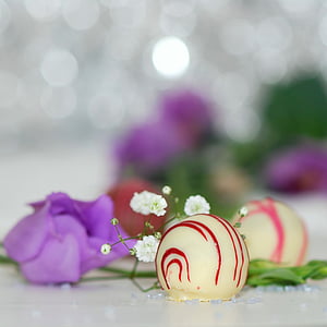closeup photography of pink petaled flowers thumbnail