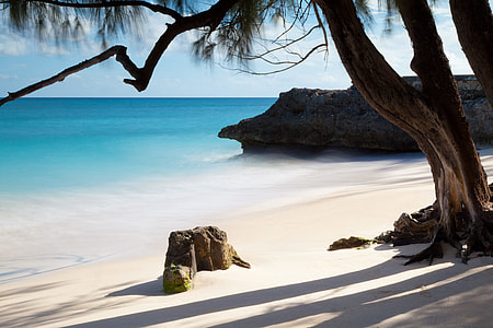 trees and rock formation near ocean water during daytime thumbnail