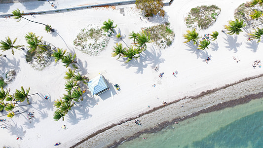 aerial photography of house near body of water with white sand and palm tree at daytime thumbnail