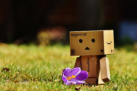 Amazon cardboard boy figure beside purple petaled flower thumbnail