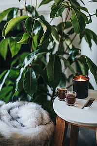 lighted candle beside to shot glasses on table near green leaf plant thumbnail