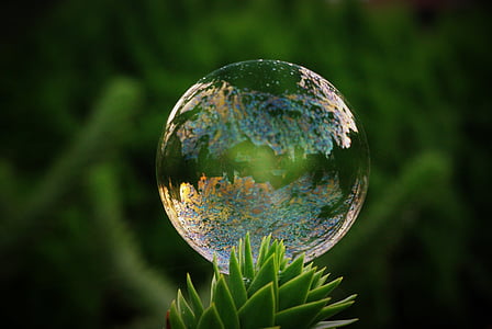time lapse photography of water drop above green plant thumbnail