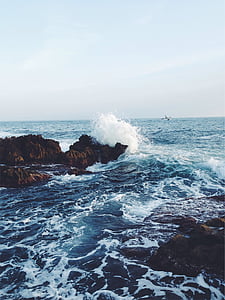 white and gray bird flying above ocean waves splashing on rock at daytime thumbnail