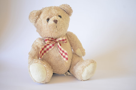 brown bear plush toy thumbnail