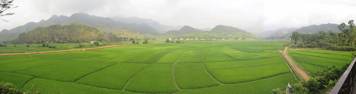 landscape photography of green grass field thumbnail