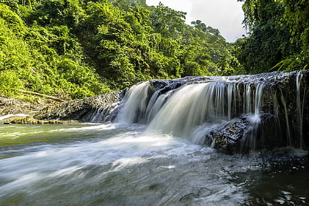 waterfall in the middle of forest thumbnail