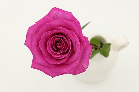 pink flower on ceramic vase thumbnail
