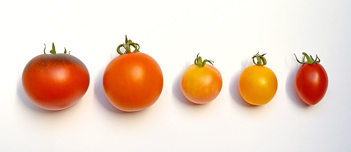 five red cherry tomatoes on white surface thumbnail