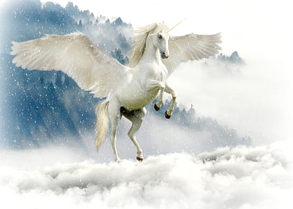 Pegasus above of cloudy sky thumbnail