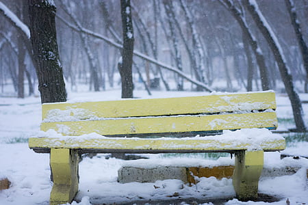 snow-covered yellow wooden bench near tree thumbnail
