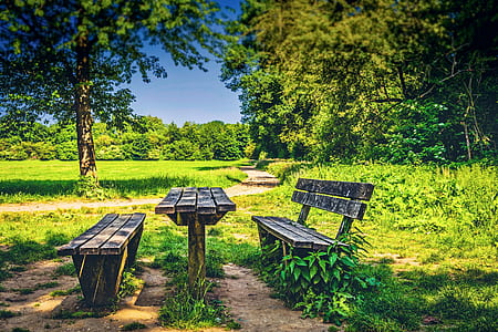 brown wooden bench during daytime thumbnail