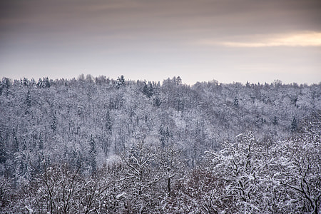 Winter lanscape thumbnail