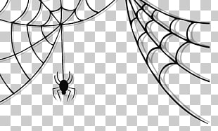 Spider web Halloween , Haunted Spider and Web , white spider on web decor PNG clipart