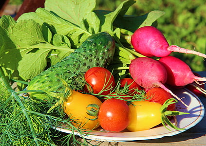 vegetables on white plate closeup photography thumbnail