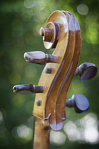 selective focus photography of brown instrument headstock thumbnail