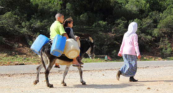 boy and girl riding on donkey during daytime thumbnail