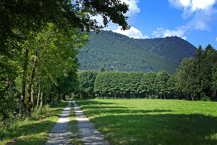 photo of road beside rice field with a view of mountain under blue sky thumbnail
