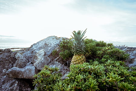 sea, landscape, nature, sky thumbnail