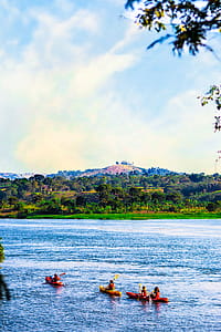 Group of People Rowing on Body of Water thumbnail
