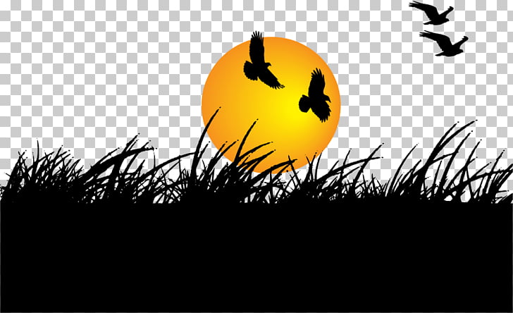 New Years Day Wish Marathi Greeting Birds And Grass Sunset Png