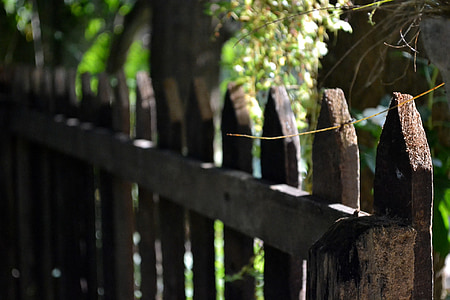 photography of brown wooden fence near tree at daytime thumbnail