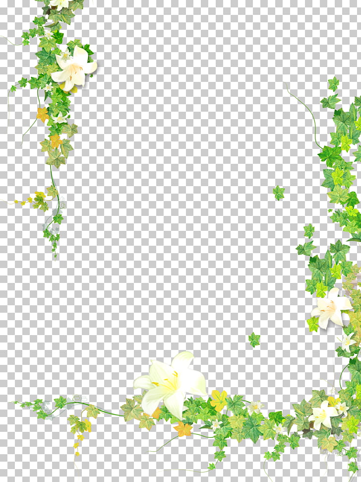 Leaf Plant Flower Vine, Summer fresh hand painted plant borders, white and green floral photo frame PNG clipart