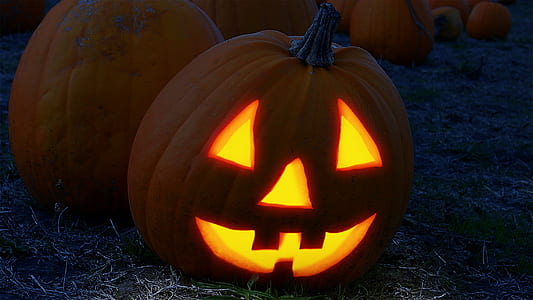Jack-O'-Lantern on green grassy path thumbnail