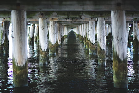 under the bridge closeup photo thumbnail