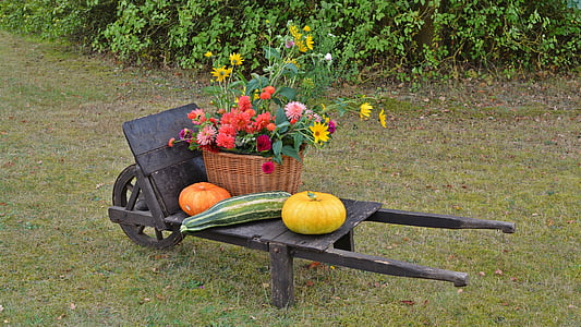assorted-color flowers in brown wicker basket thumbnail