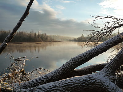 body of water near trees at daytime thumbnail