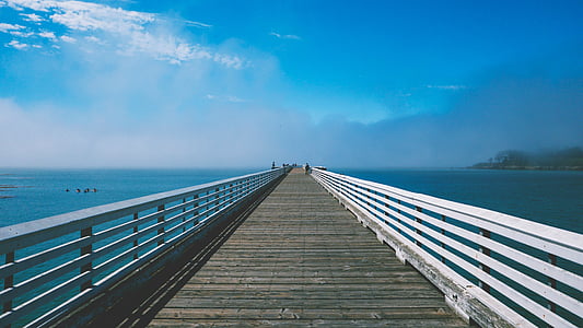 white wooden boardwalk during daytime thumbnail