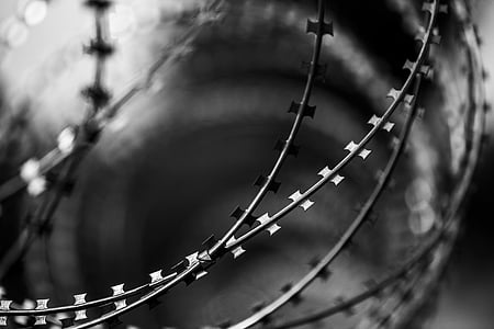 macro grayscale photography of barbed wire thumbnail